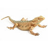 Rich Boxer 5'' Lizard Figurine Bearded Dragon Animal Figurine Plastic Lizard Reptile Model for Home Garden Decoration
