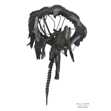 Alien: Romulus - Deluxe Suspended Lab Xenomorph XX121 7" Scale Action Figure (PRE-ORDER)