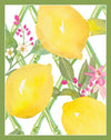 Caspari Limoncello Bridge Tallies (BT152)