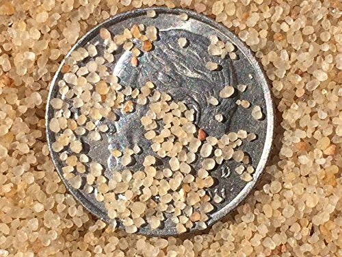 Jurassic Sands Golden Cambrian Beach Sand Play Sand - 47 Pound Sandbox Sand