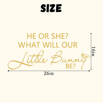 ZAIBIANHAO HE or SHE What Will Our Little Bunny Be Decal - Spring Easter Baby Shower Decorations,Some Bunny Party Decor for Balloon Archs,Rabbit Theme