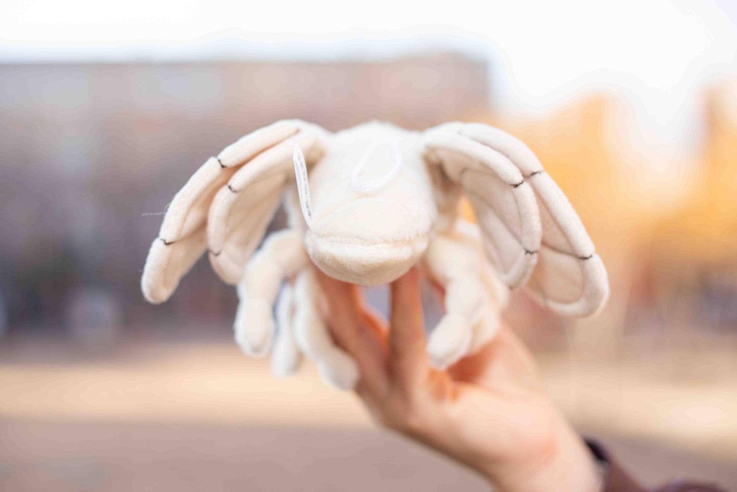 TAMMYFLYFLY Lifelike Moth Plush Toy,Cute Poodle Moth Stuffed Animal, Insect Model Toy, 7 Inches Soft Toy