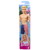 Barbie Ken Doll Wearing American Flag Swimsuit, Pool and Beach Toys