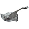 Safari Ltd. Common Stingray Figurine - Lifelike 7" Model Figure - Educational Toy for Boys, Girls, and Kids Ages 3+