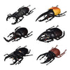 DOYIFUN Pack of 6 Lifelike Beetle Model Toys, Fake Realistic Insect Figures Collection Playset Science Educational Learning Toys for Kids Toddlers
