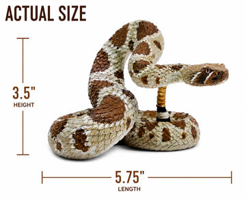 Safari Ltd. Western Diamondback Rattlesnake Figure, 5.75" Snake Replica