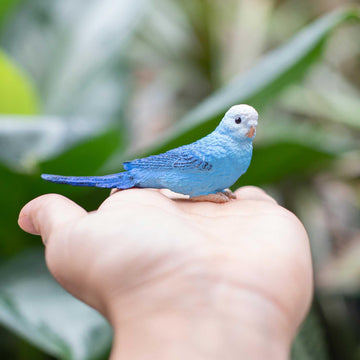 Safari Ltd. Blue Budgie Figurine - Detailed 3" Plastic Model Figure - Fun Educational Play Toy for Boys, Girls & Kids Ages 3+