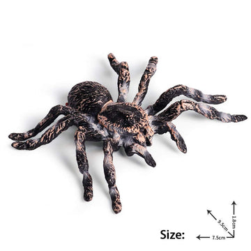 FLORMOON Realistic Animal Figures - Spider Action Model Lifelike Insect Toy Figures - Educational Learning Toys Birthday Set for Boys Girls Kids