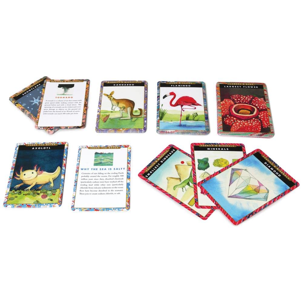 eeBoo: Natural and Earth Science Educational Flash Card, Includes a Colorful Illustration on One Side and Informational Facts on The Other Side,