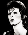 C&D Visionary Licenses Products David Bowie Black and White Sticker