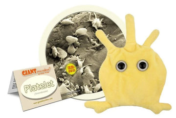GIANTmicrobes Platelet Plush, Blood Cell Plush, Blood Bank, Gifts for Lab Techs, Hematology, Phlebotomy Gifts, Phlebotomist Gift, Circulatory System