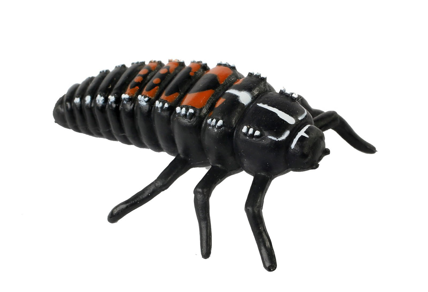 Insect Lore Ladybug Life Cycle - 4 PC Insect Figure Shows Life Of Lady Bug
