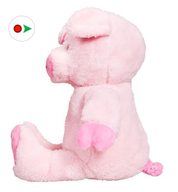 Stuffems Toy Shop Record Your Own Plush 8 inch Pudge The Pig - Ready 2 Love in a Few Easy Steps