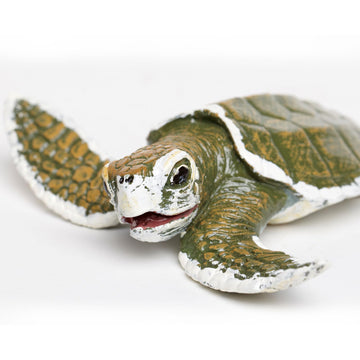 Safari Ltd. Kemp's Ridley Sea Turtle Baby Figurine - Lifelike 5" Model Figure - Educational Toy for Boys, Girls, and Kids Ages 18M+