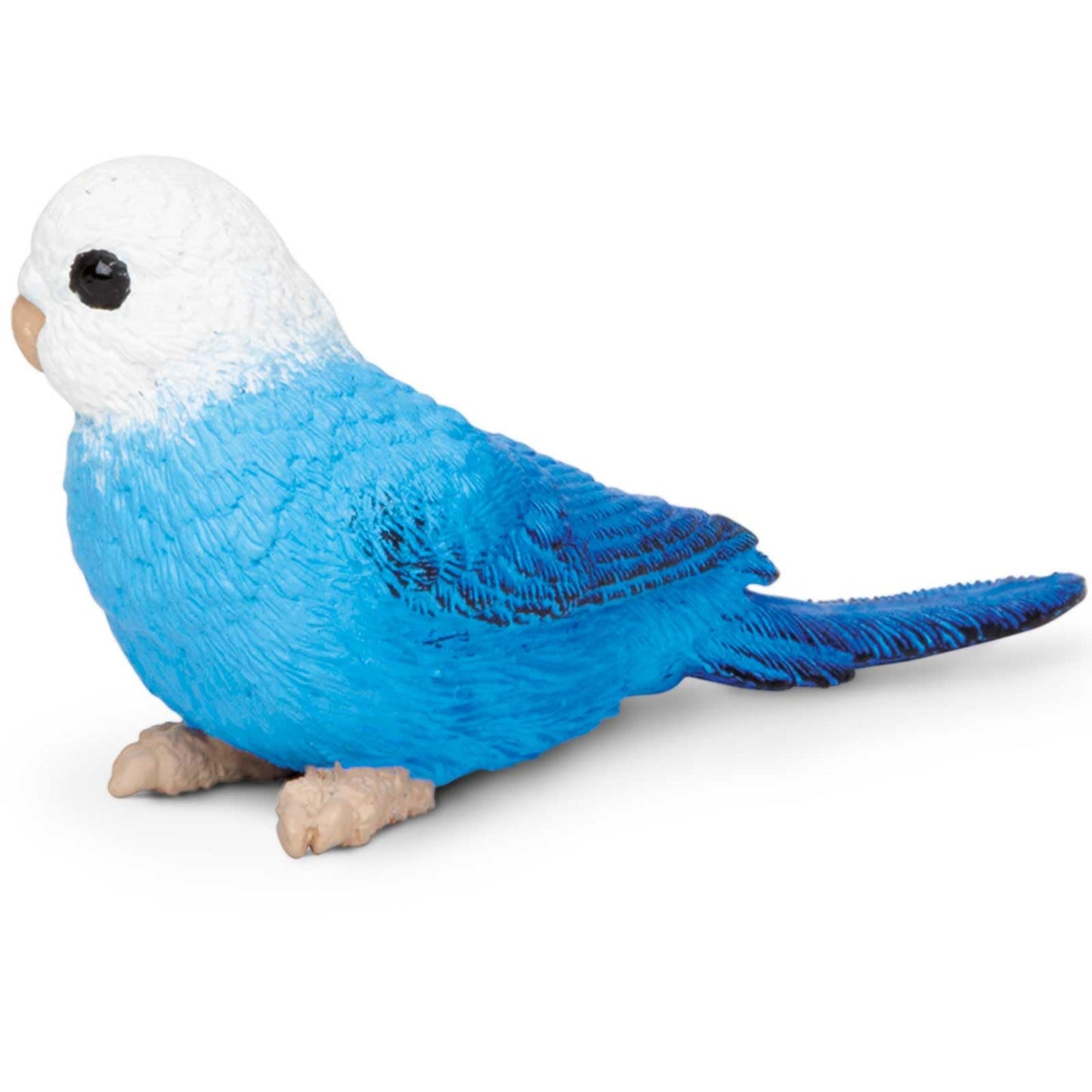 Safari Ltd. Blue Budgie Figurine - Detailed 3" Plastic Model Figure - Fun Educational Play Toy for Boys, Girls & Kids Ages 3+