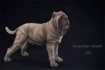 Lana Toys 1:6 Scale Neopolitan Mastiff Dog Figure Realistic Neapolitan Mastiff Animal Model