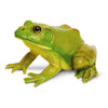 Safari Ltd. American Bullfrog Figurine - Realistic 4.75" Model Figure - Educational Toy for Boys, Girls, and Kids Ages 18M+