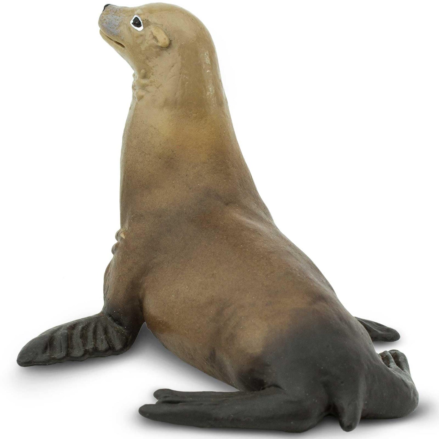 Safari Ltd. Sea Lion Figurine - Detailed 3.1" Plastic Model Figure - Fun Educational Play Toy for Boys, Girls & Kids Ages 3+