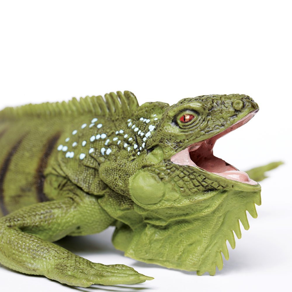 Safari Ltd. Iguana Figurine - Lifelike 11" Model Figure - Educational Toy for Boys, Girls, and Kids Ages 3+