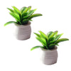 2 Pcs Dollhouse Decoration Plant Pots Miniature Green Potted Bonsai Model Dollhouse Accessories Decor,1:12 Scale Doll House Miniature Plant Model, DIY