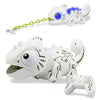 OSQI Interactive Remote Control Chameleon Simulation Toy for Kids - 2.4GHz RC Reptile with 5 Sound Effects, 12 Color Lights, Extending Tongue &