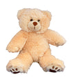 Recordable 8" Plush Furry the Brown Bear w/20 Second Digital Recorder for Special Messages, Rymes or Songs