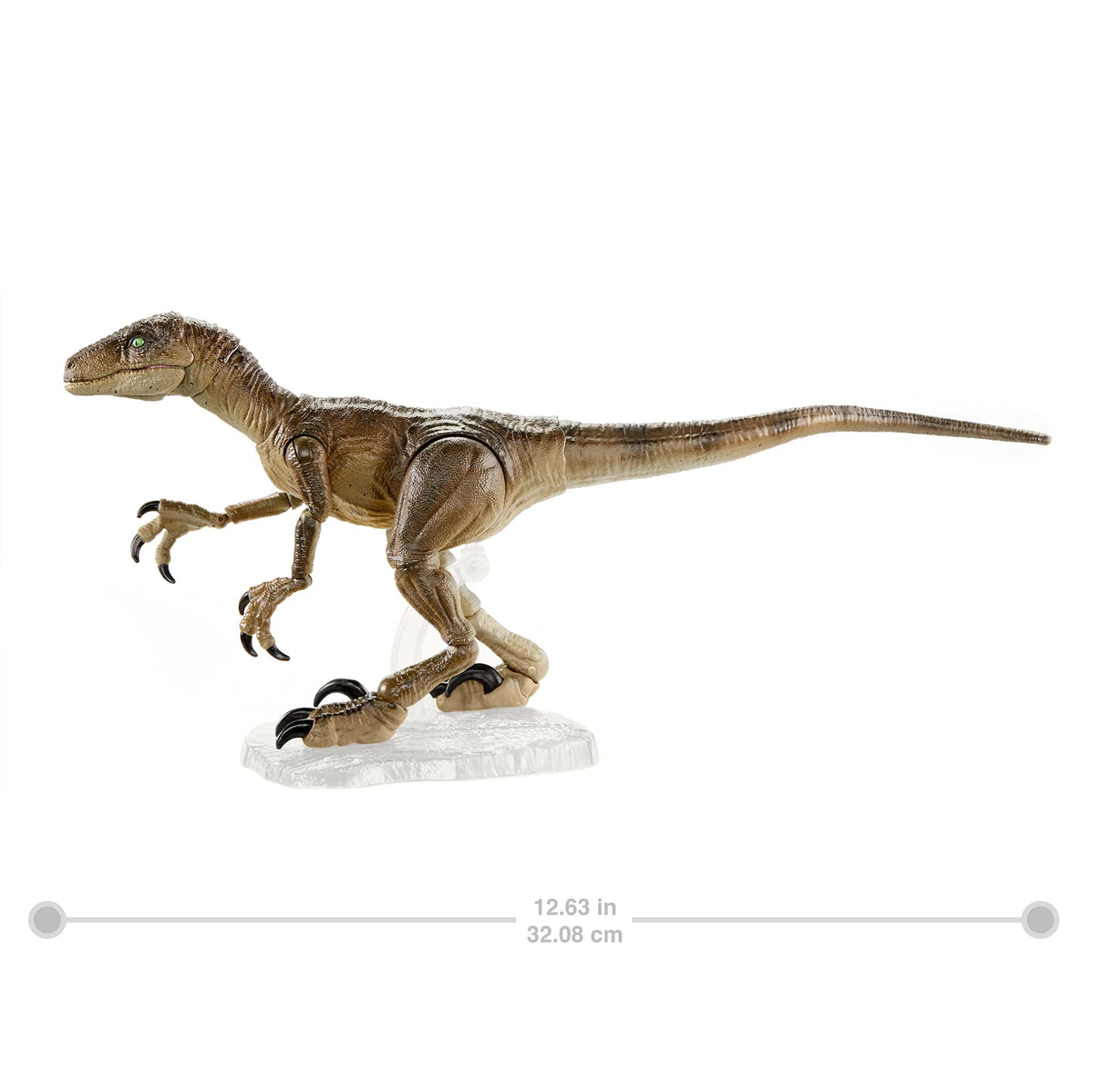Jurassic World Toys Amber Collection Velociraptor Dinosaur Figure Collectible Toy 6-in Scale, Posable Joints, Authentic Look & Stand for 8 Years Old &