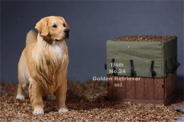 Lana Toys 1:6 Scale Golden Retriever Dog Pet Figure Realistic Animal Model