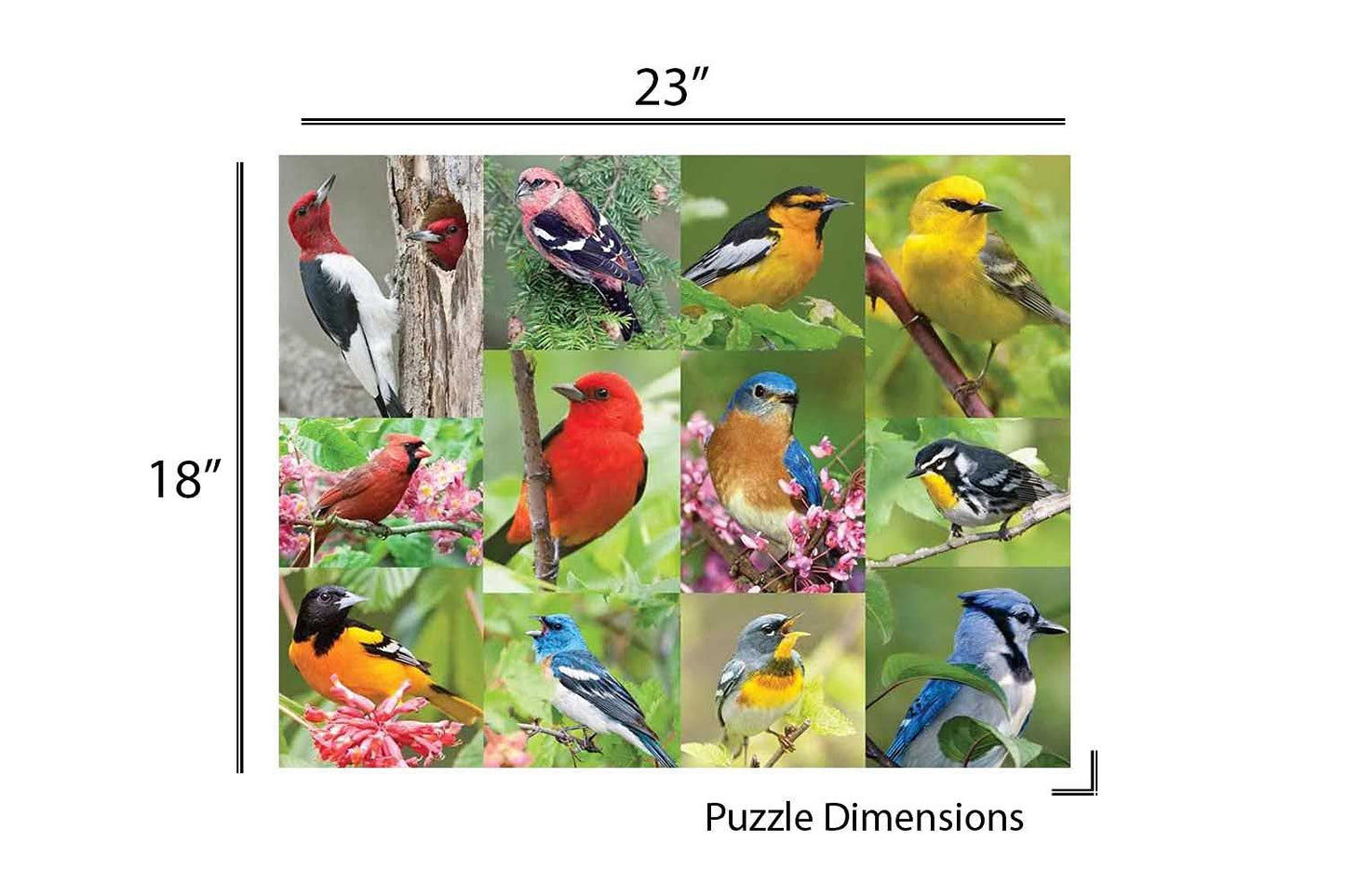 Springbok Puzzle to Remember - Alzheimer & Dementia Activity - 36 Piece Jigsaw Puzzle Birds of a Feather - Made in USA