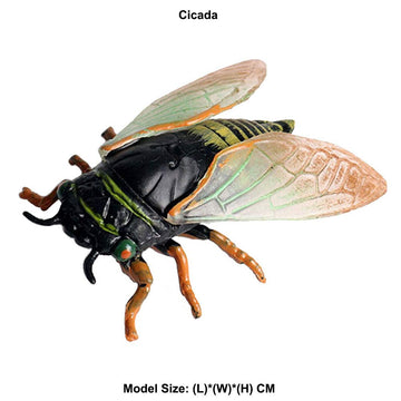 JOKFEICE Realistic Cicada Figurine, Insect Toy for Science & Cake Toppers