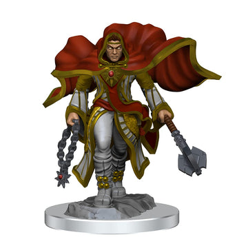 WizKids D&D Nolzur's Marvelous Miniatures: Aasimar Cleric Male
