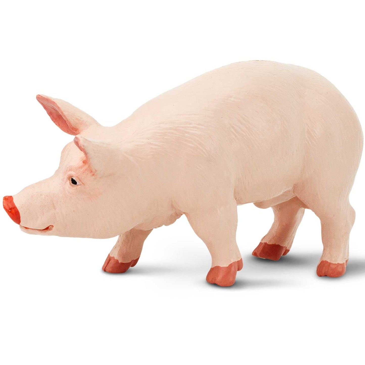Safari Ltd. Boar Figurine - Realistic, Lifelike 4.25" Model Figure - Fun and Educational Toy for Boys, Girls & Kids Ages 3+
