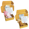 Roioiow 2Pack My Little Worry Bear Plush Teddy with Greeting Card and Box - Emotional Support Relationship Gift for Friends, Family, Colleagues