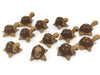 Mr_air_thai_Miniature Lot of 12 Miniature Turtle Fairy Garden Supplies Animal Figurine Furniture Dollhouse DIY GD#003