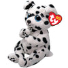 Ty Beanie Bellie Rowdy - Dalmation Dog - 6"", White/Black