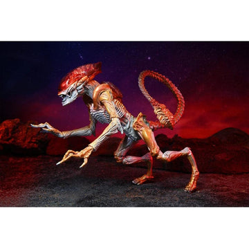 Aliens - 7" Scale Action Figure - Ultimate Kenner Tribute Panther Alien