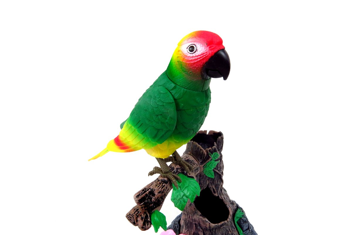 AZ Trading & Import BC505G Talking Parrot