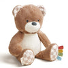 Itzy Ritzy Snuggles Plush Toy - Soft Stuffed Animal for Babies, Kids & Adults - Sensory Ribbons & Textured Fabrics for Tactile Play - Cozy & Cuddly