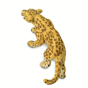 Safari Ltd. Leopard Toy Figurine - Realistic, Hand-Painted 5" Model Figure - Safe, Educational Toy for Boys, Girls & Kids Ages 1+