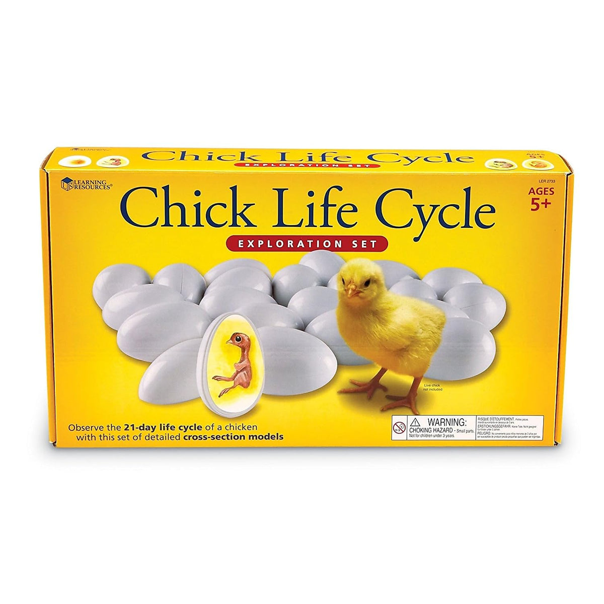 Learning Resources Chick Life Cycle Exploration Set