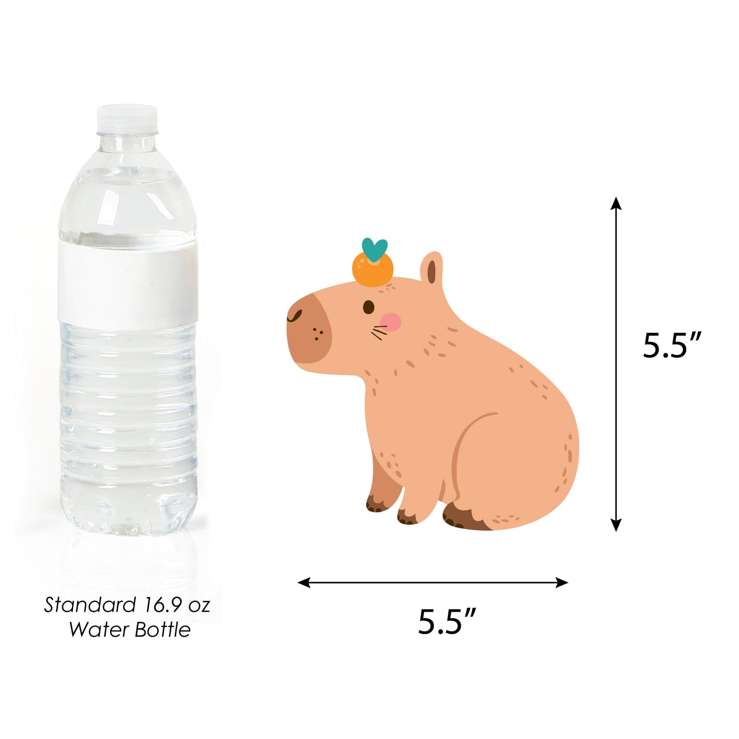 Big Dot of Happiness Capy Birthday - Decorations DIY Capybara Party Essentials - Set of 20