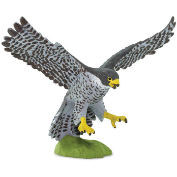 Safari Ltd. Peregrine Falcon Figurine - Detailed 3.75" Wingspan Plastic Model Figure - Fun Educational Bird Play Toy for Boys, Girls & Kids Ages 3+
