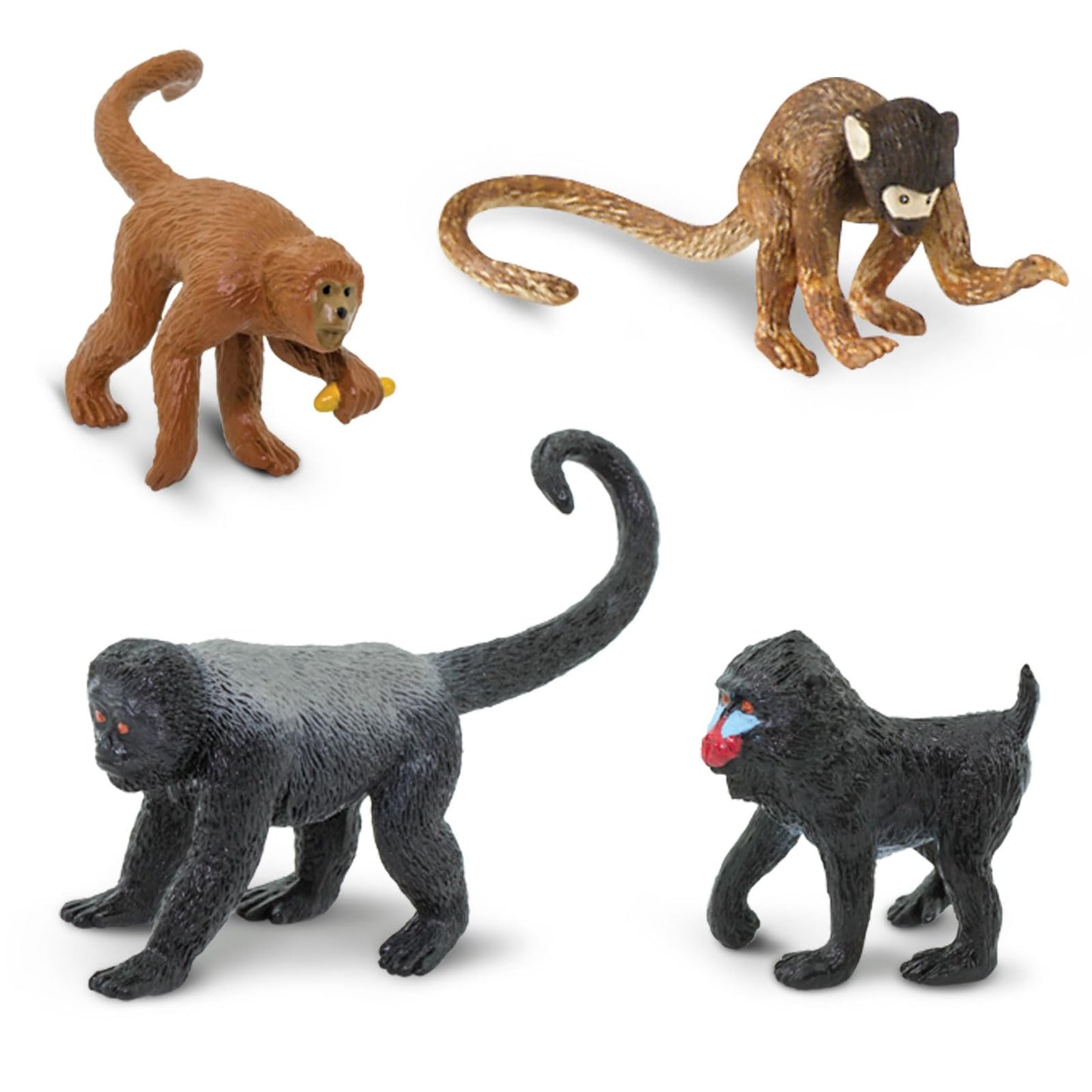 Safari Ltd. Apes & Monkeys TOOB - 12 Figurines: Baboon, Orangutan, Tamarin, Lemur, Gorilla, Mandrill, Chimp, Squirrel, Spider, & Woolly Monkeys