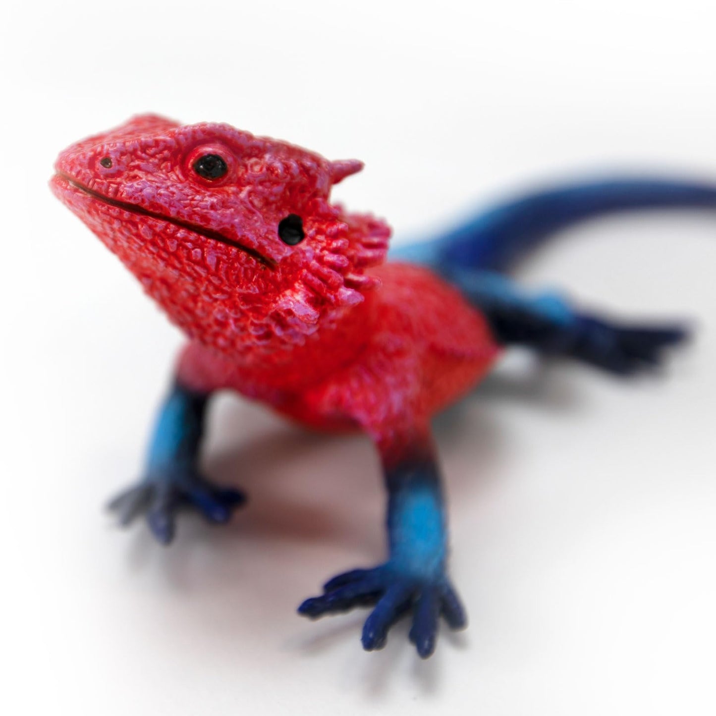 Safari Ltd. Mwanza Flat-Headed Rock Agama Lizard Figurine - Detailed 9.5" Plastic Model Figure - Fun Educational Toy for Boys, Girls & Kids Ages 3+