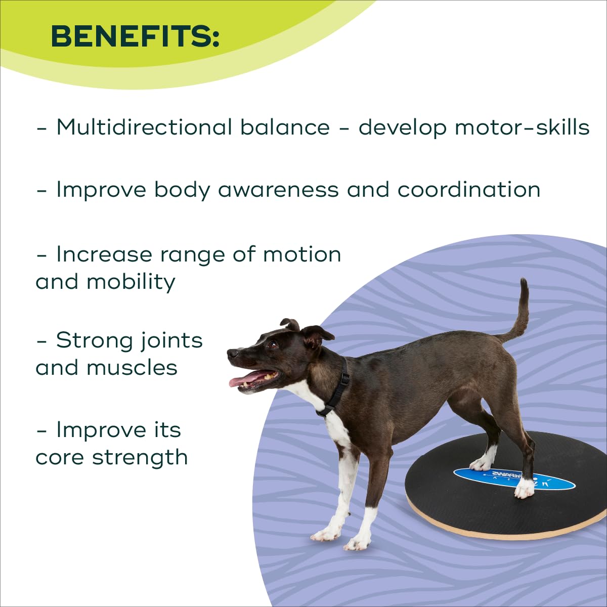 FitPaws® 20" Wobble Board, Dog Balance Training, Rehab + Exercise Equipment
