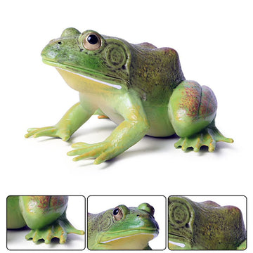 DOYIFUN Simulated Tree Frog Model Figure Toy, Realistic Bullfrog Figurines Collection Playset Science Educational Props
