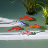 Miniature Koi Fish Set (10pcs, 5 Styles): Realistic Resin Sinking Ornamental Fish for Dollhouse Pond, Fairy Garden, Aquarium, Zen Decor, Adult