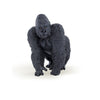 Papo - Realistic Gorilla Figure - Ages 3+ - Wild Life Collection - Educational Play Species Protection - Gift Idea Toy for Girls and Boys - 3.5 in