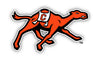 Campbell University Fighting Camels 10 Inch Vinyl Decal Sticker Officially Licensed Collegiate Product