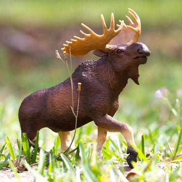 Safari Ltd. Moose Figurine - Detailed 8.9" Plastic Model Figure - Fun Educational Play Toy for Boys, Girls & Kids Ages 1+
